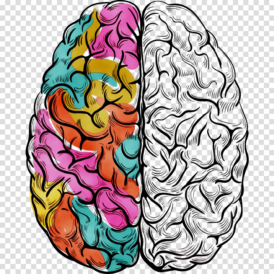 Clipart brain illustration, Clipart brain illustration ...