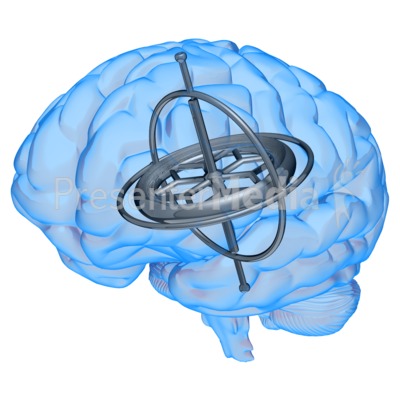 brain clipart medical