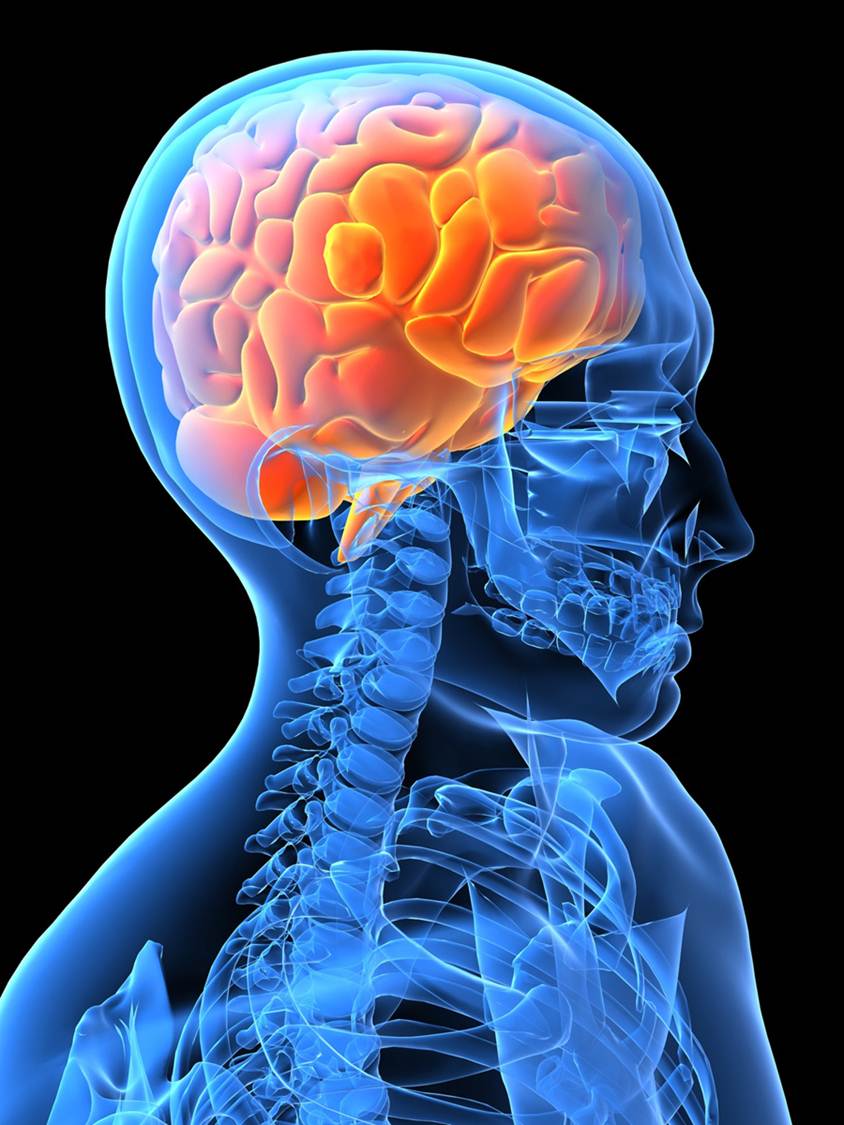 Brain medical