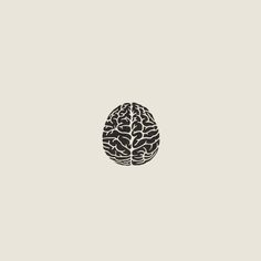 Brain minimalist