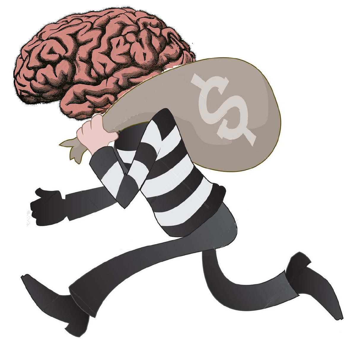 brain clipart neuroscientist