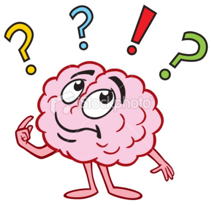 brain clipart question