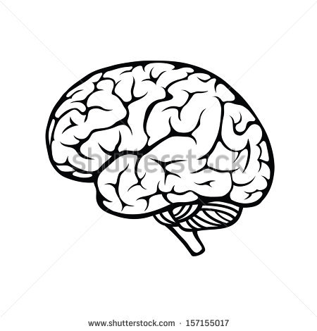 Brain clipart vector. Black and white collection
