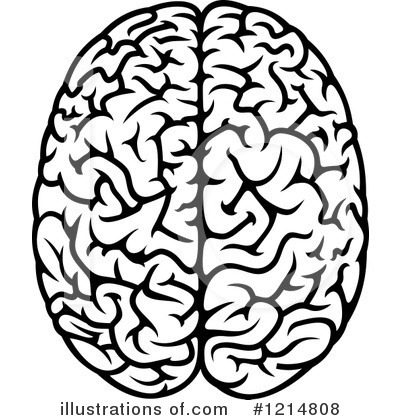 Brain clipart vector. Illustration by tradition sm