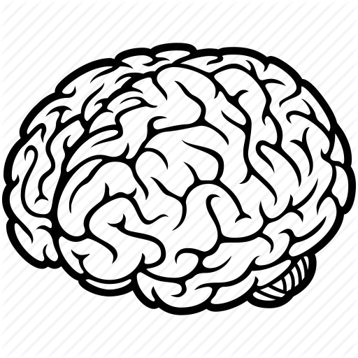 Future by aha soft. Brain vector png
