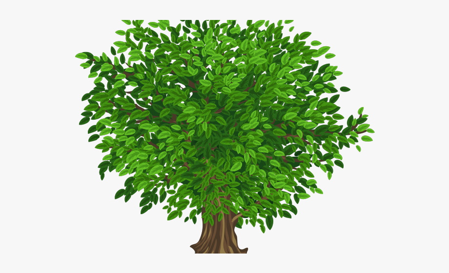branch clipart animated tree