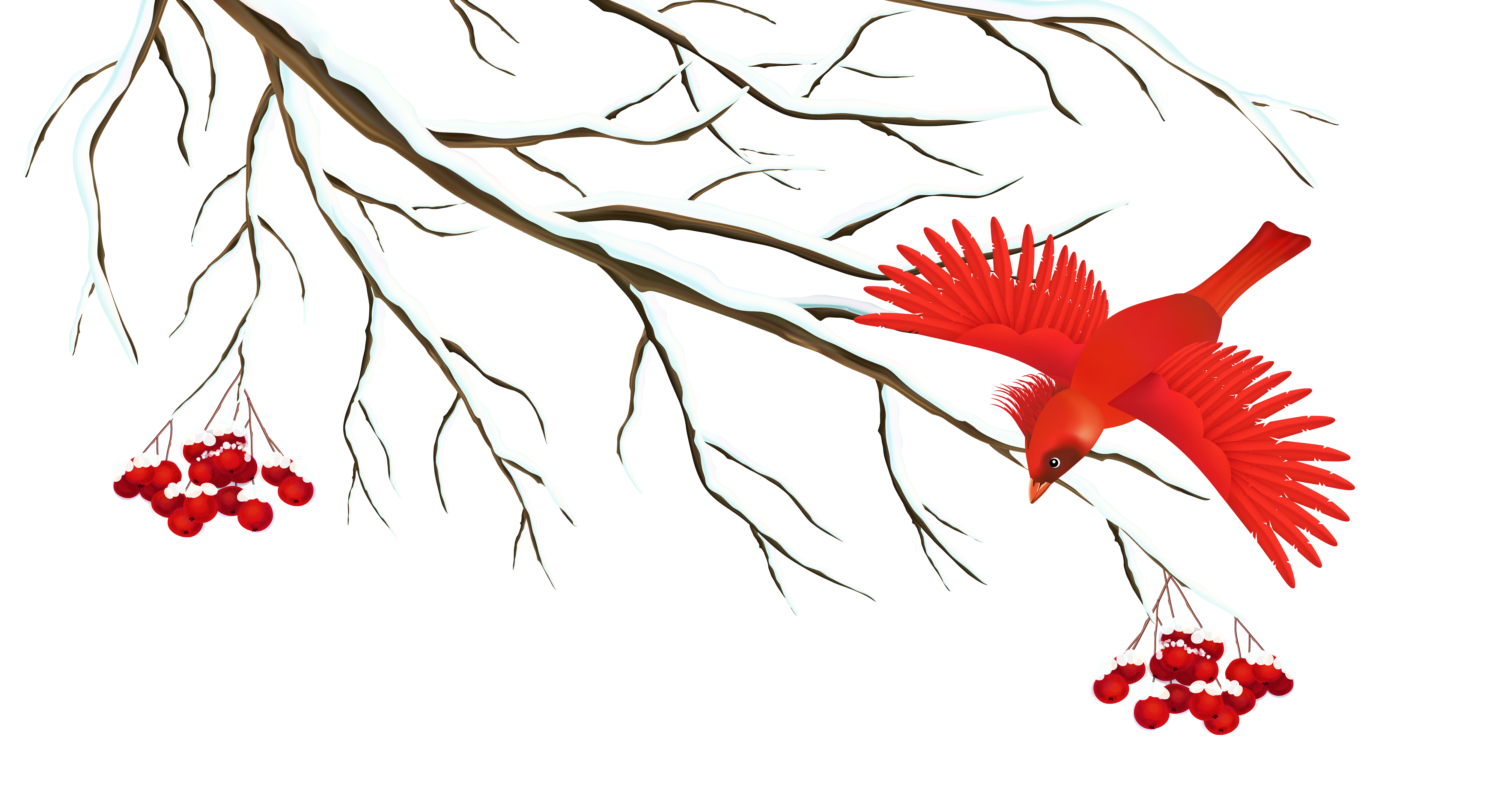 Snowy with bird png. Winter clipart branch