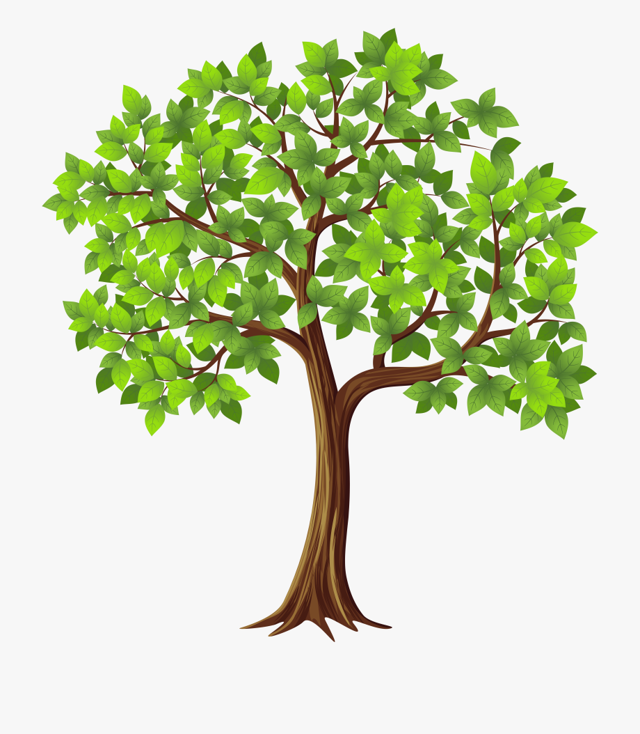 clipart trees clear background