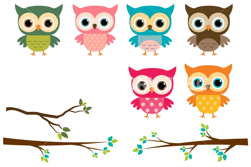 Branch clipart cute. Owls colorful owl on
