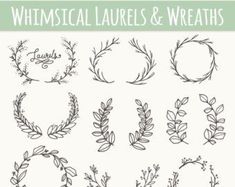 Ancient wreath text dividers. Branch clipart divider