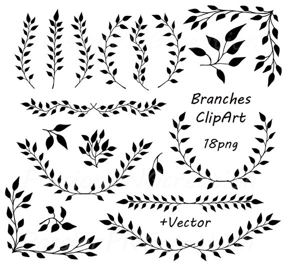 branch clipart divider