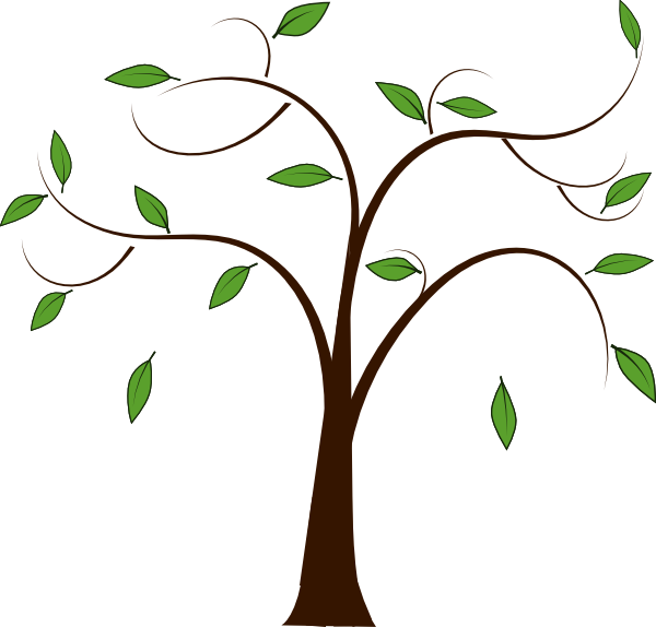 Download Branch clipart family tree, Branch family tree Transparent FREE for download on WebStockReview 2020