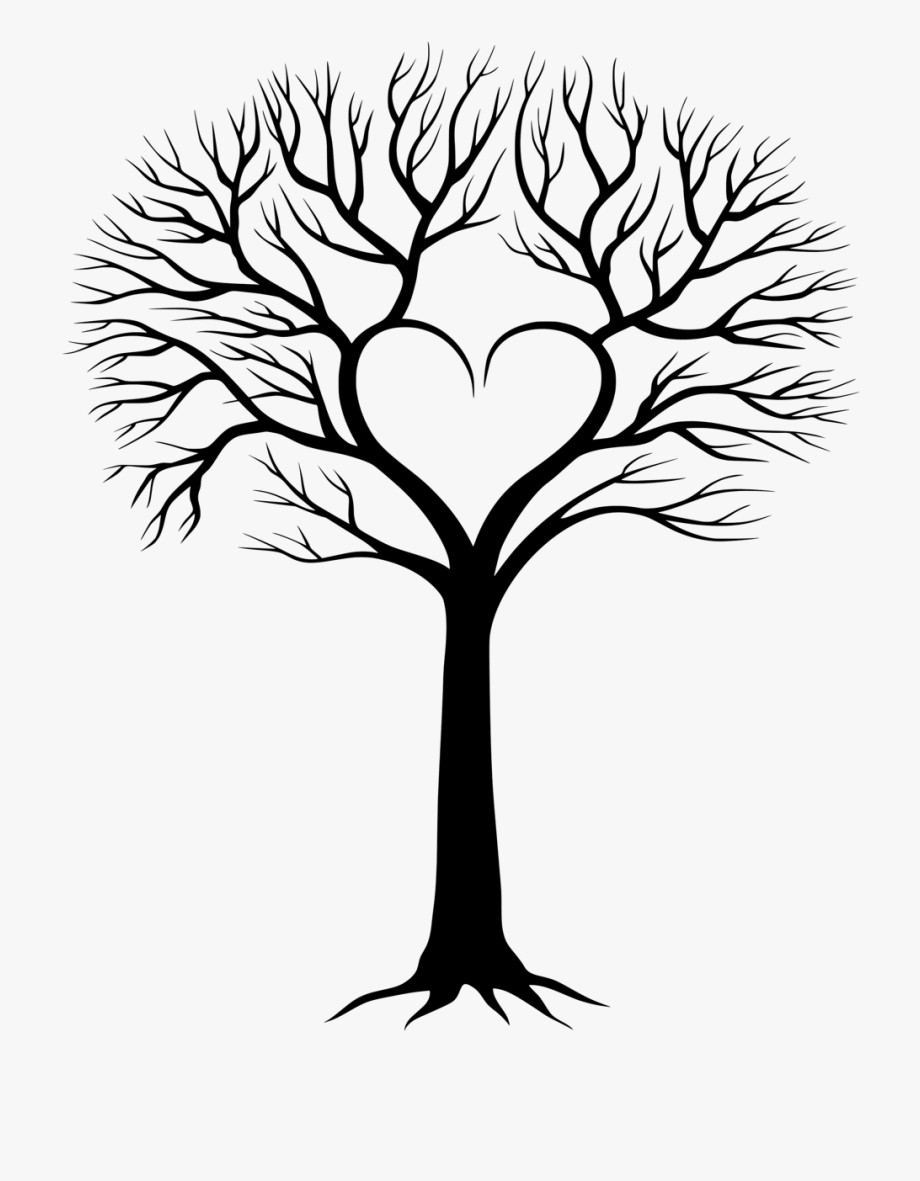 branch clipart family tree