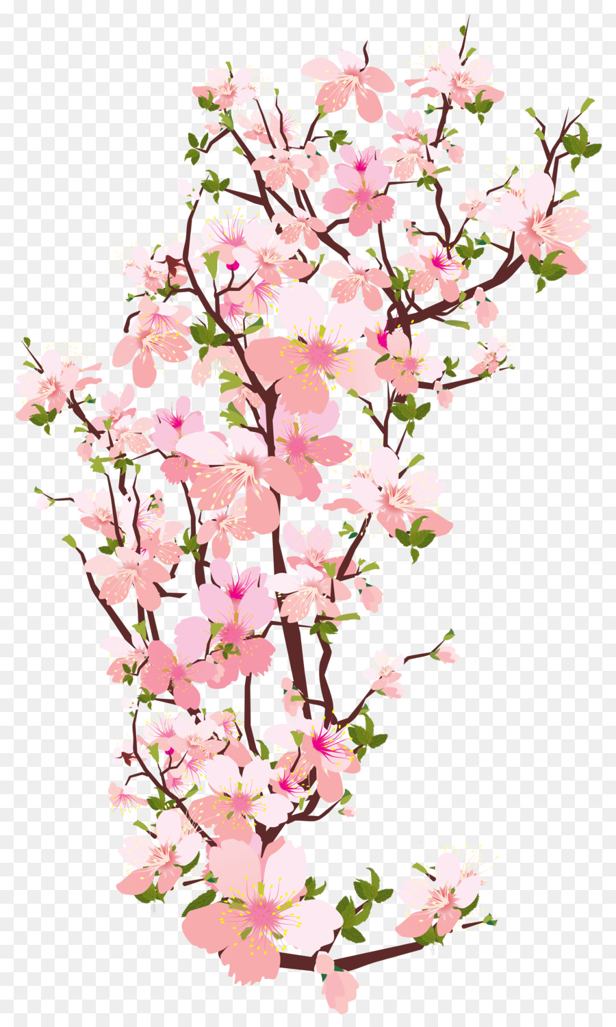 branch clipart floral