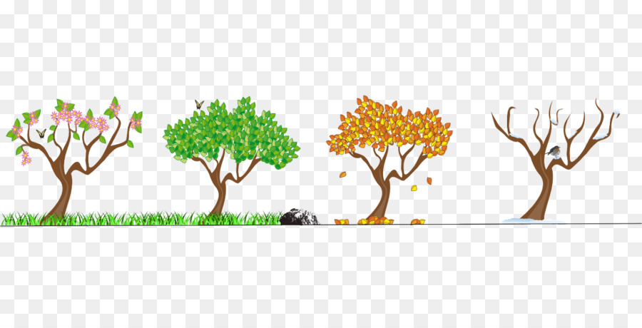 Branch clipart font. Autumn tree transparent 