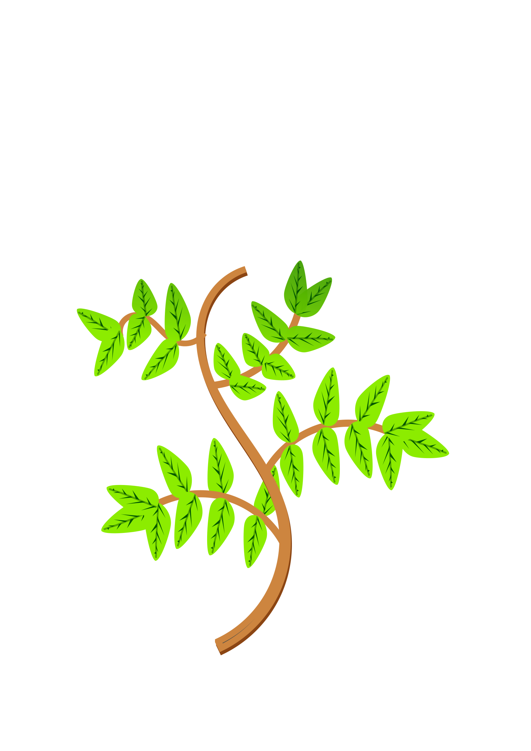 leaves clipart branch