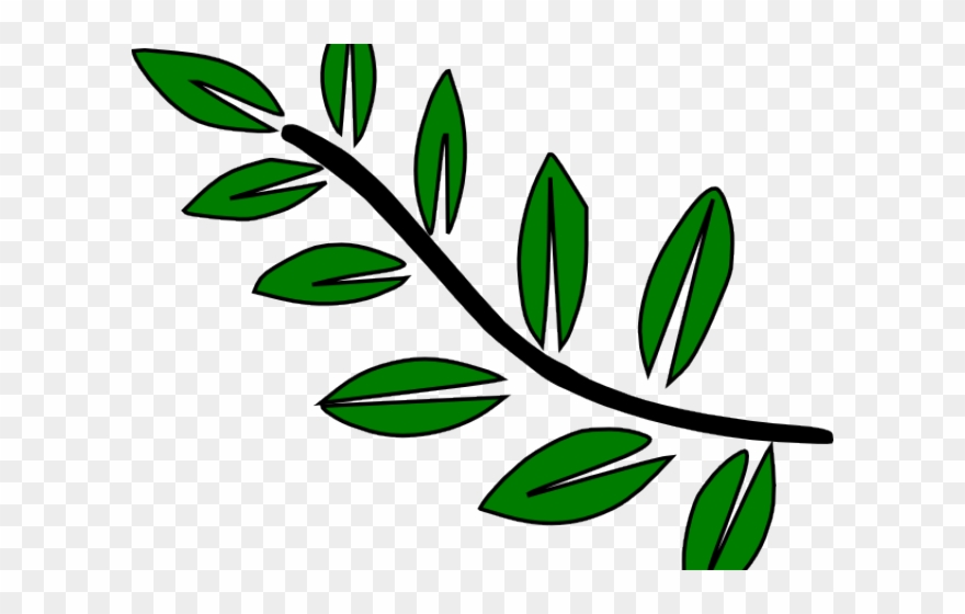 branch clipart leave clipart