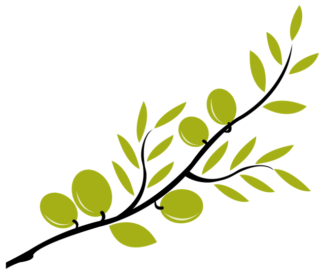 B branch clip art. Clipart leaves olive