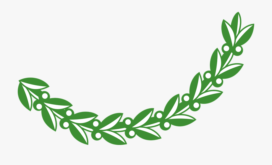 branch clipart olive branch