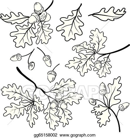 branch clipart outline