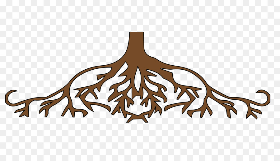 branch clipart root