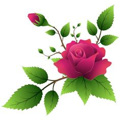 Grab this free to. Branch clipart rose