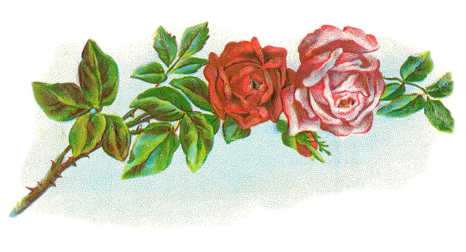 branch clipart rose