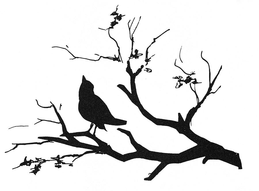 Bird on a at. Branch clipart silhouette