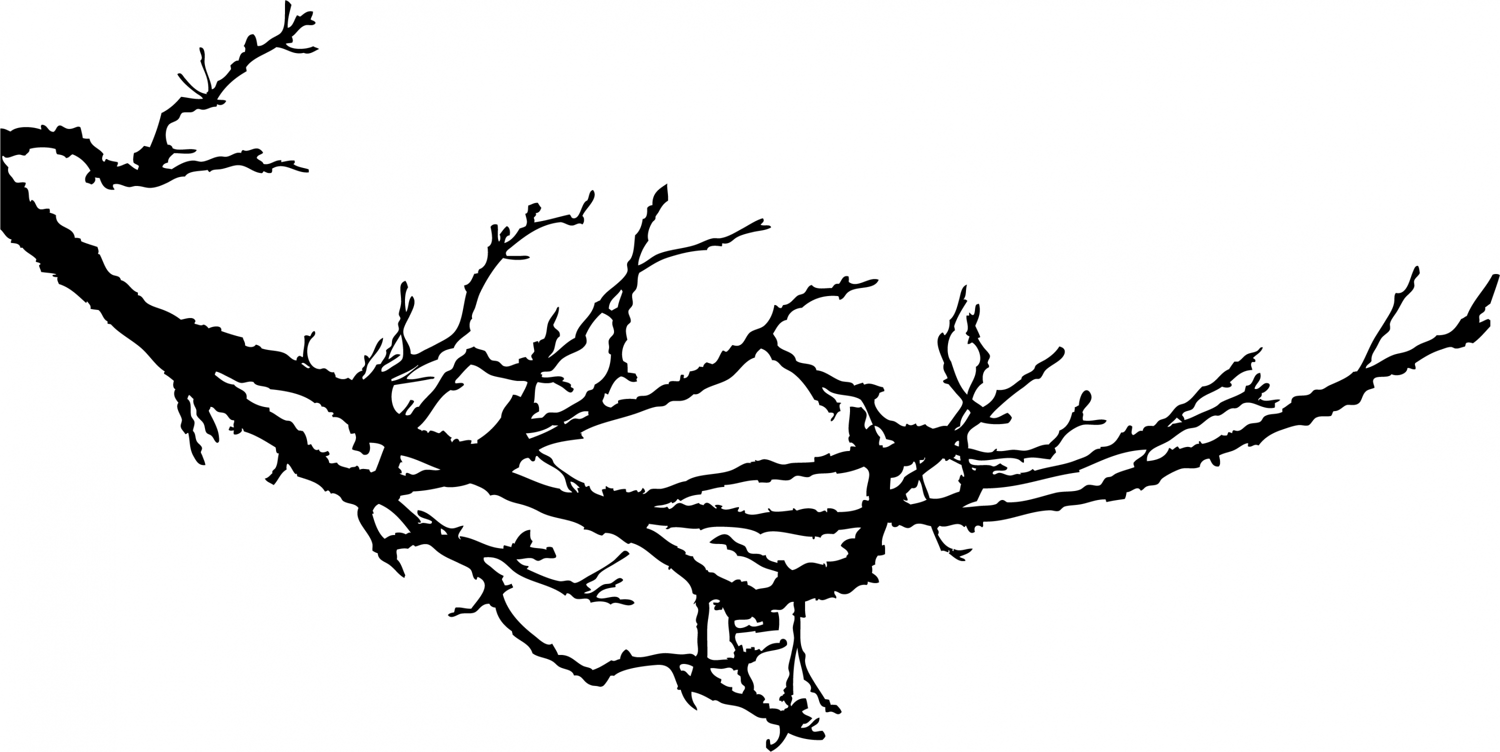 Branch clipart silhouette. 