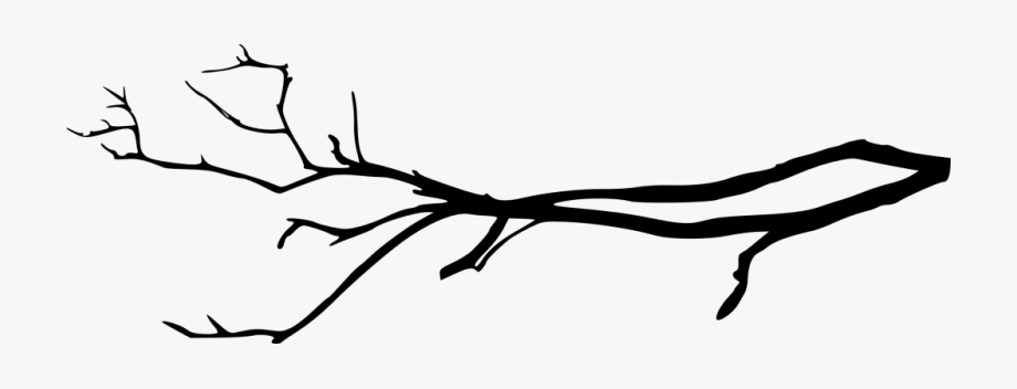  px tree png. Branch clipart silhouette