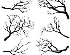 branch clipart sketch