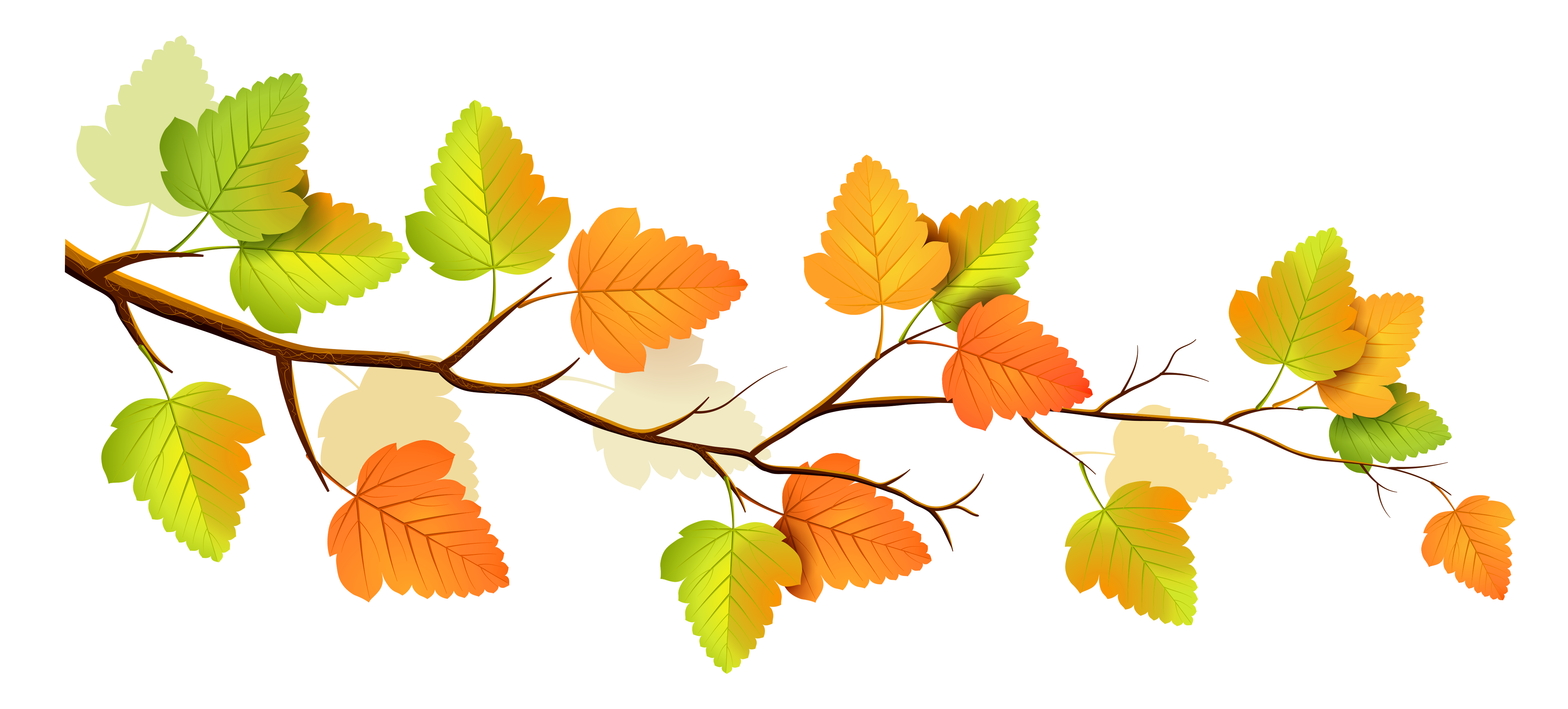decorative clipart autumn tree branch