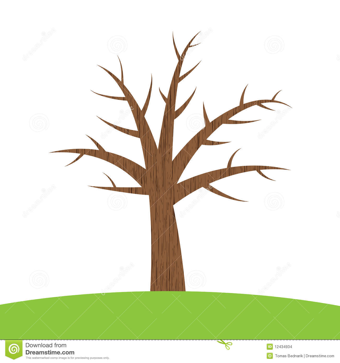 branch clipart tree trunk