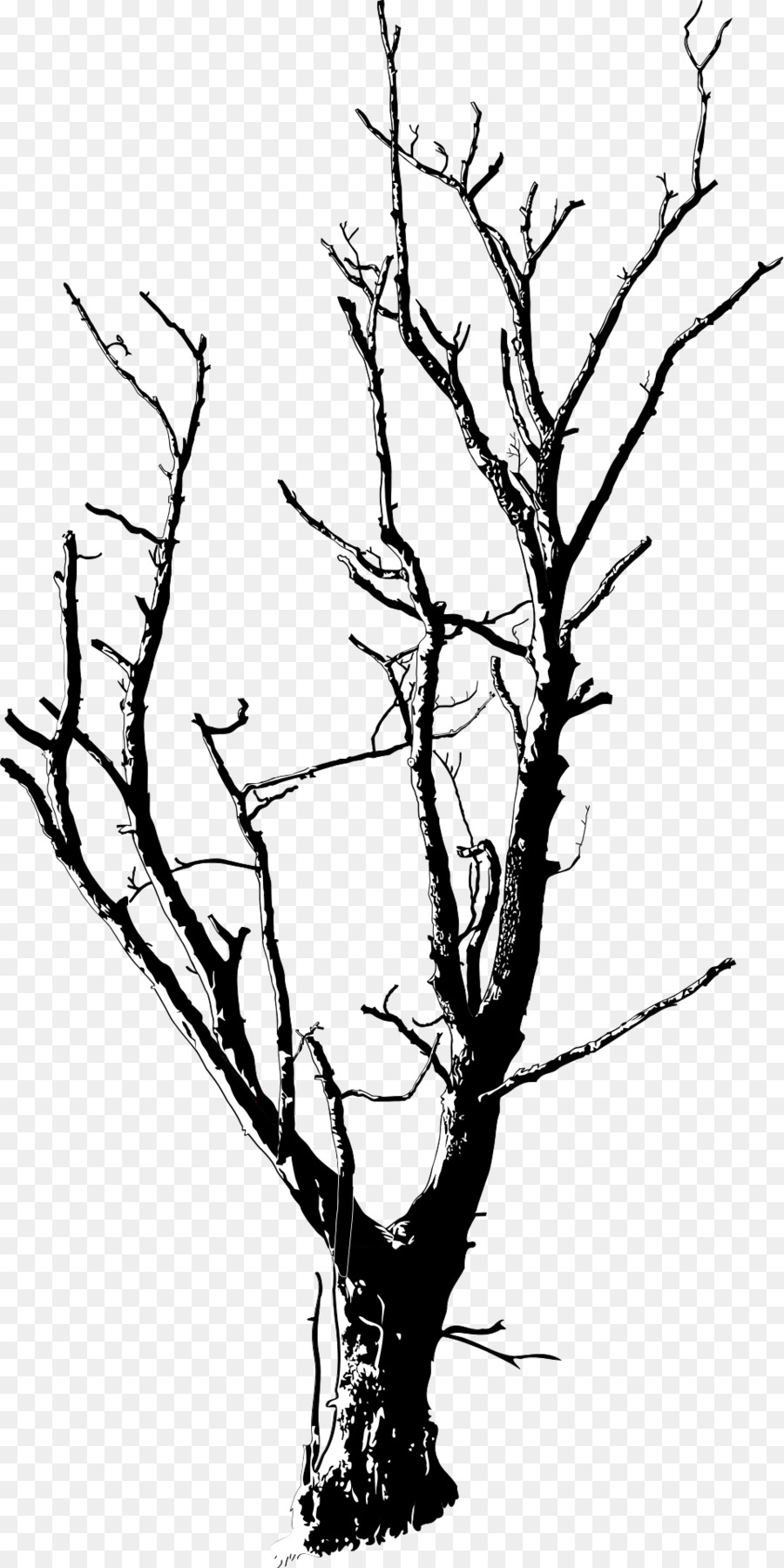 Branch clipart twig. Tree clip art twigs