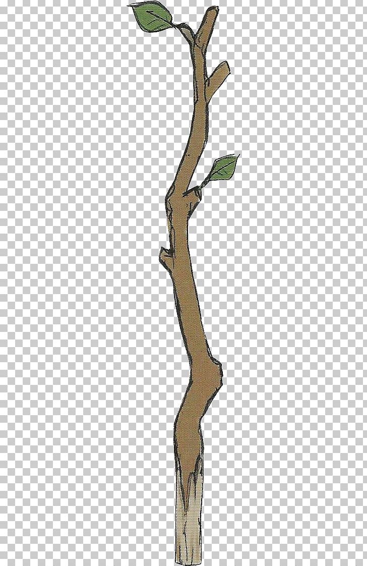 Tree wood png art. Branch clipart twig