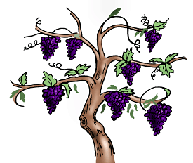 branch clipart vine