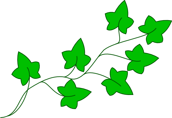 Poison clipart vector. Ivy vine clip art