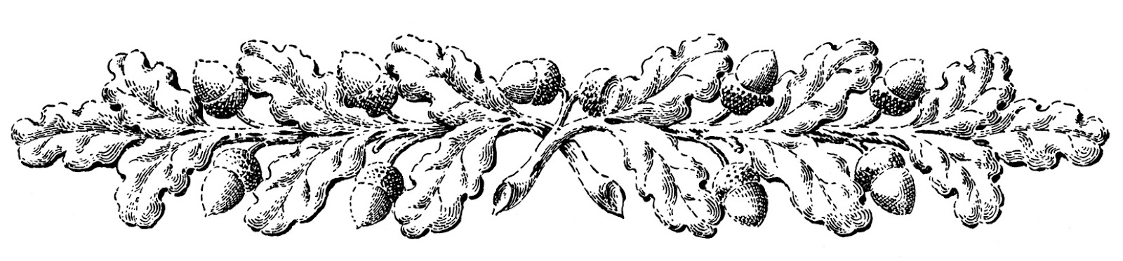 branch clipart vintage