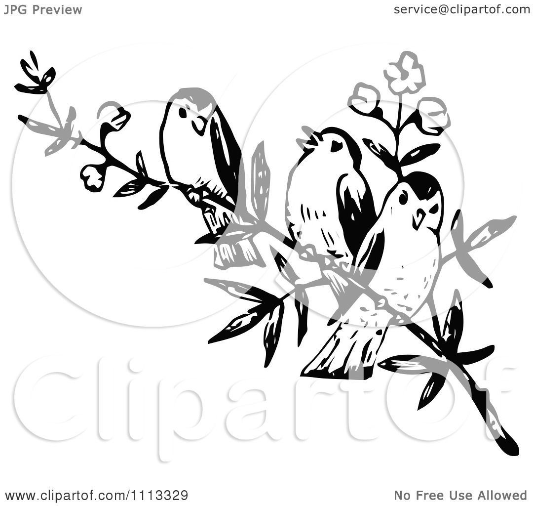 Branch clipart vintage. Three little birds line