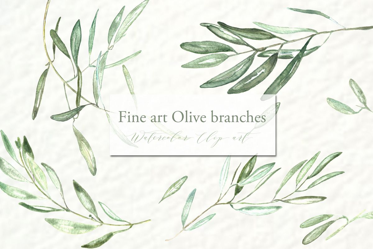 branch clipart watercolor