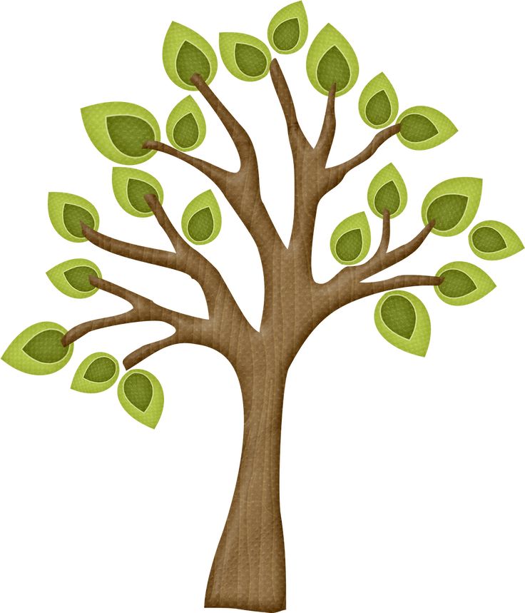 branch clipart wood branch