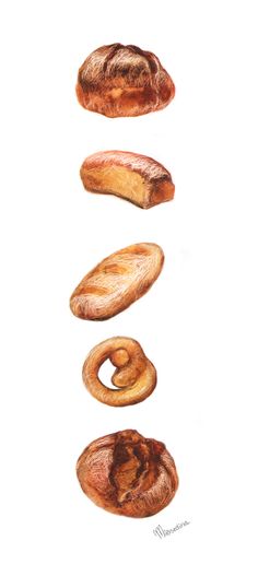 Bread clipart watercolor. On behance food illustrations