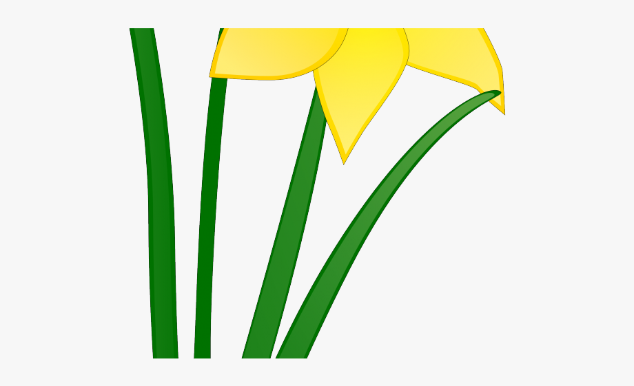 daffodil clipart spring break