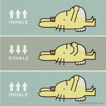 breathe clipart belly breathing