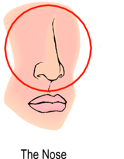 Breath clipart nose breathing. Pursed lip the does