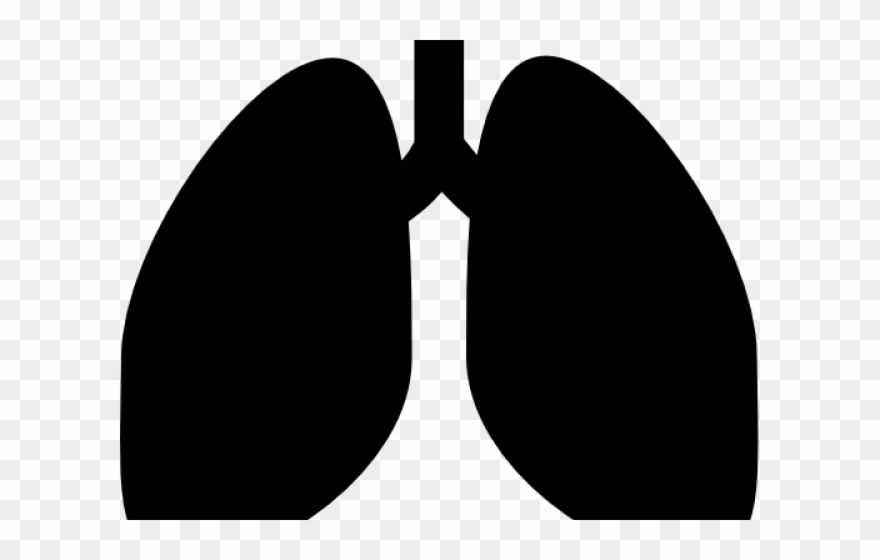 breathe clipart respiratory rate
