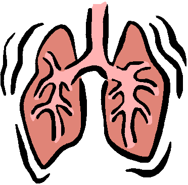 Lungs clipart one. Respiratory system process you