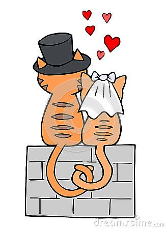 Wedding day cats love. Bride clipart two