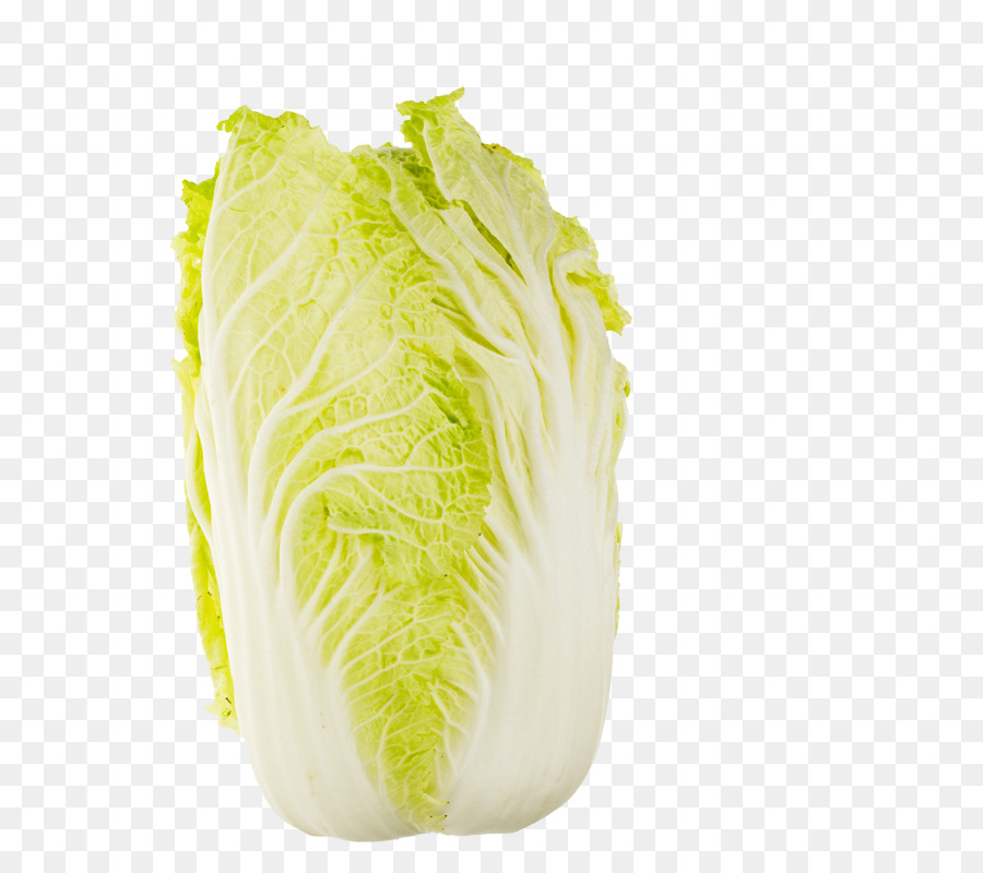broccoli clipart cabbage chinese