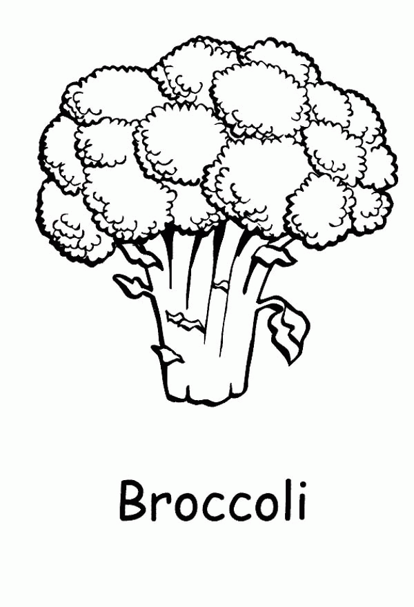 broccoli clipart coloring page